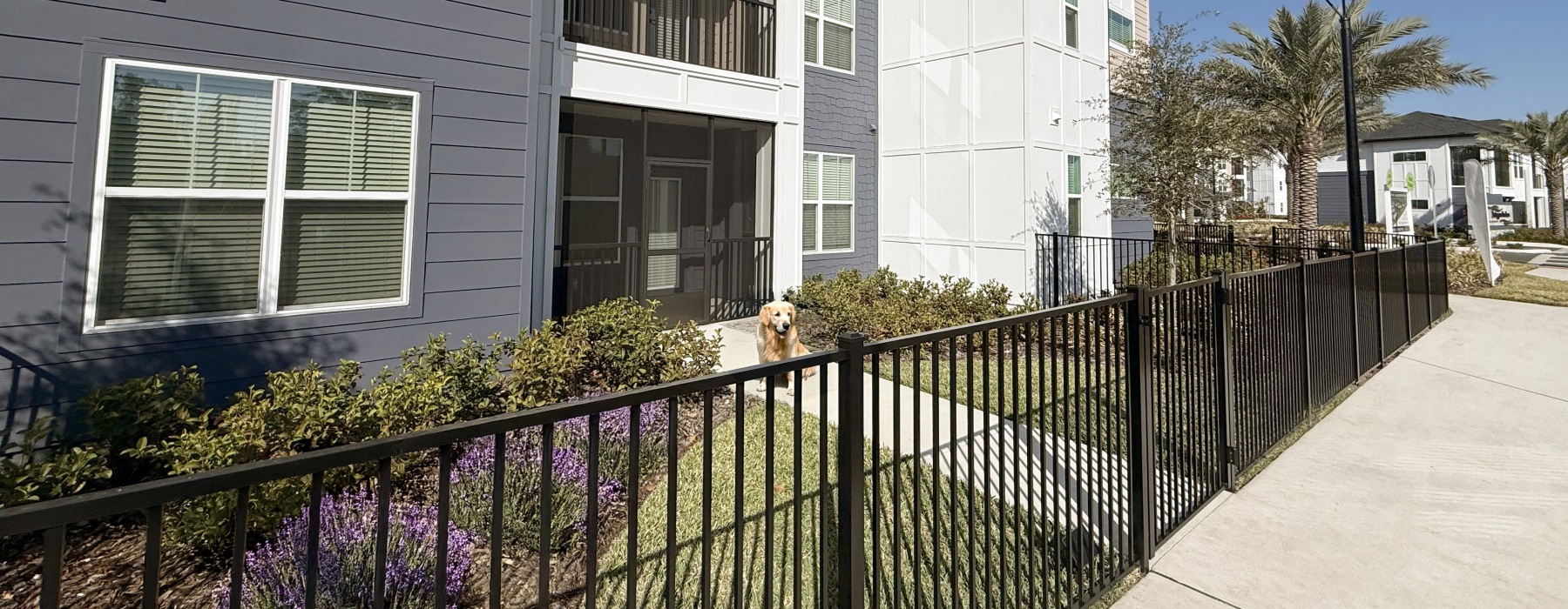 A Pet Friendly Community